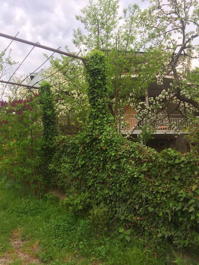 Nino'S Veranda Apartment Telavi Kültér fotó