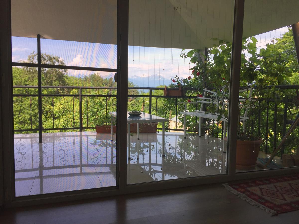 Nino'S Veranda Apartment Telavi Kültér fotó